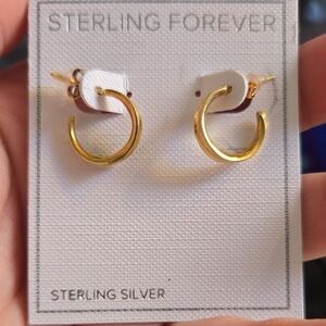 Sterling Forever Sterling Silver And Gold Plated Mini Hoop Earrings NWT ✨️